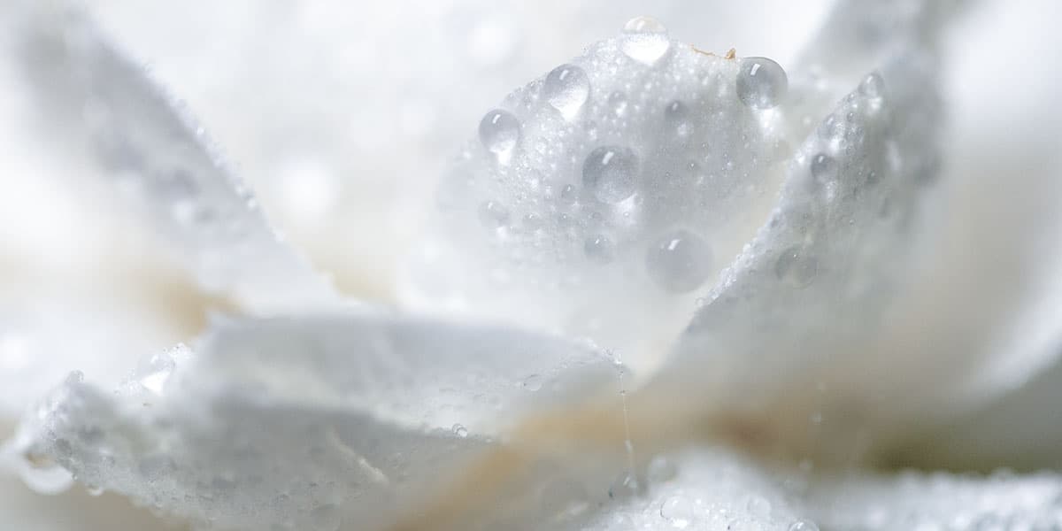 Journey towards sustainable beauty 2-1