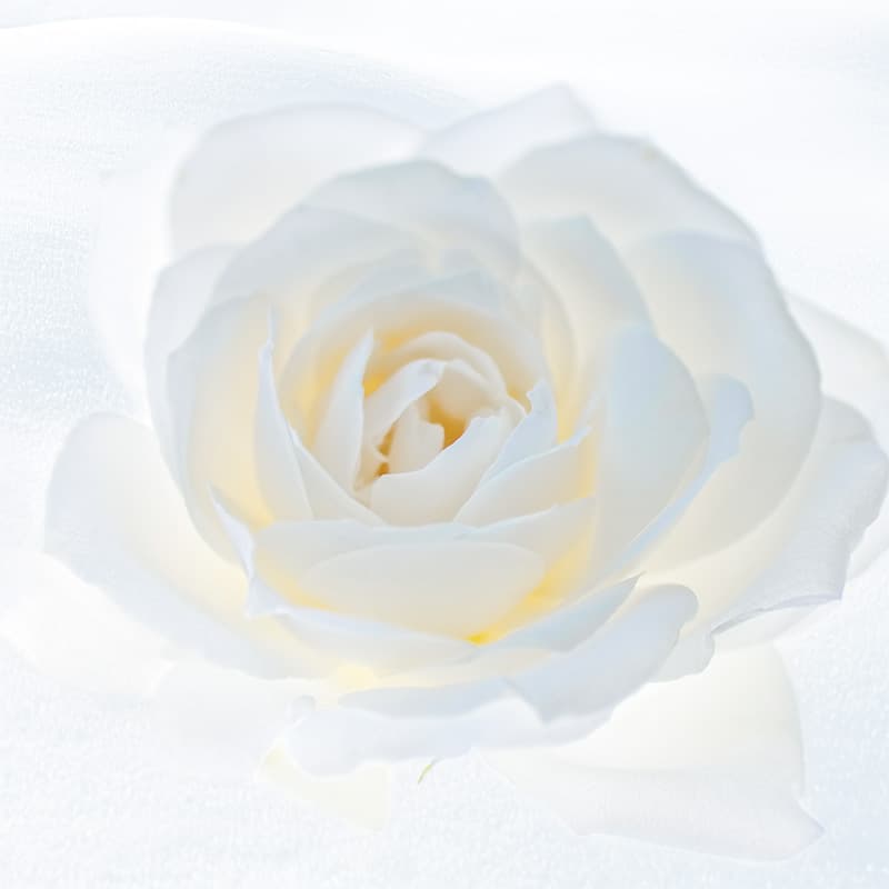Selenite Foam 5
